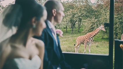 Port Lympne Wild Animal Park 